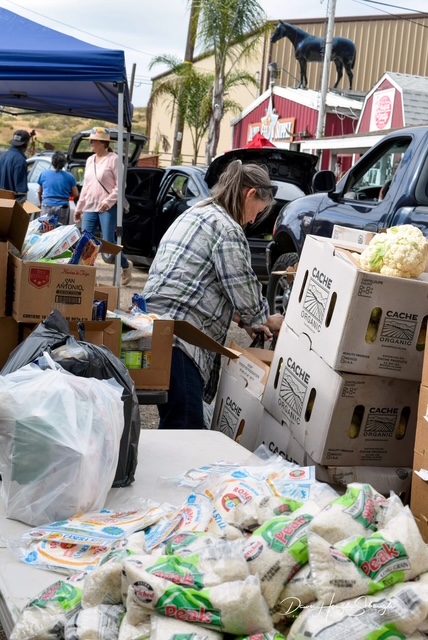 Placeholder image for the Feeding the Flock SD donation page